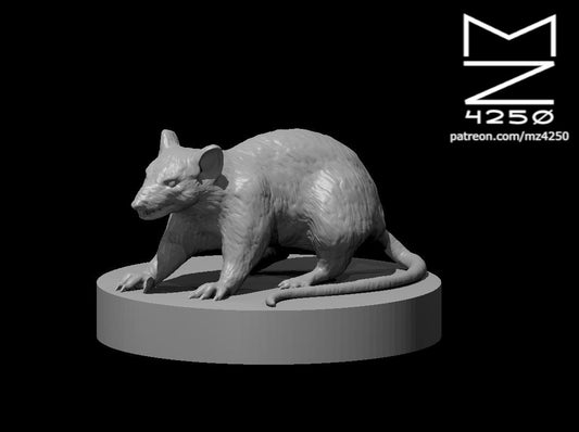 Dungeons & Dragons Giant Rat Miniature