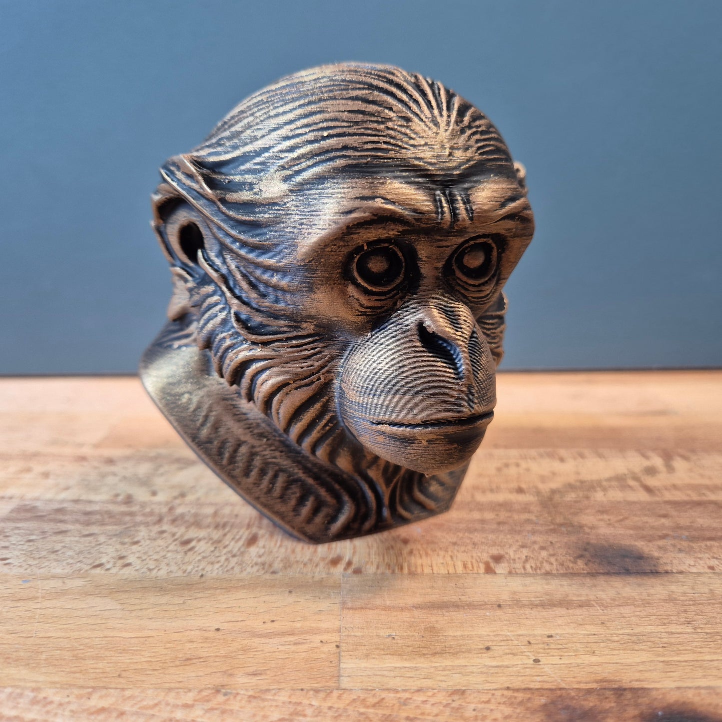 Gibbon Bust
