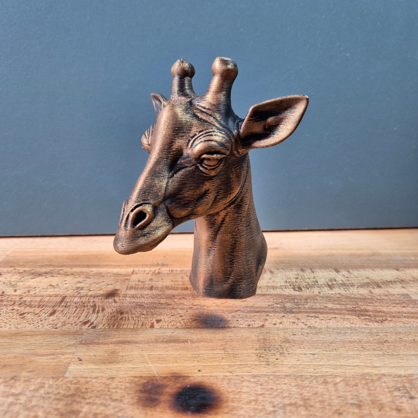 Giraffe Bust