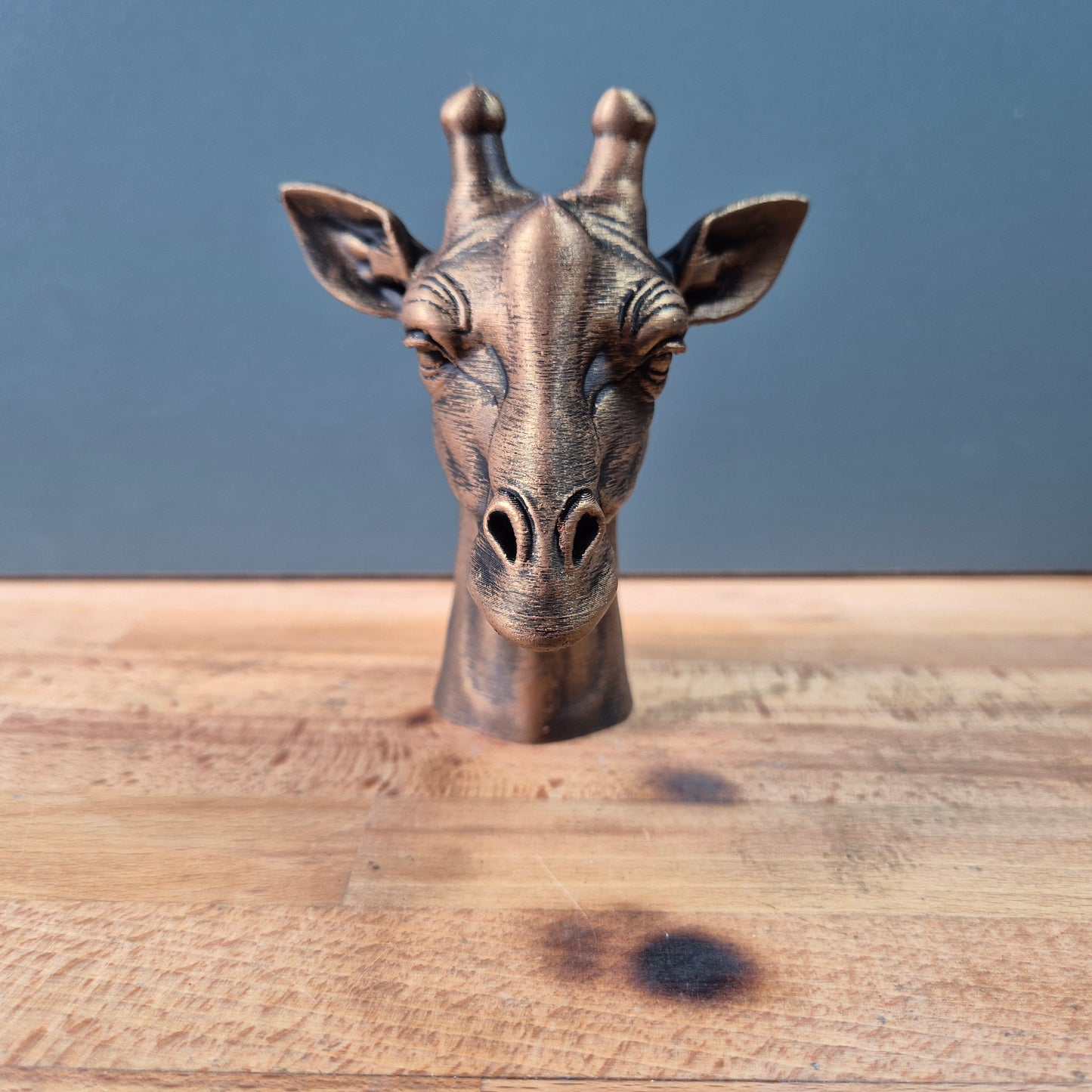 Giraffe Bust