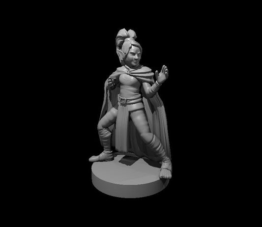Dungeons & Dragons Gnome Female Monk Miniature