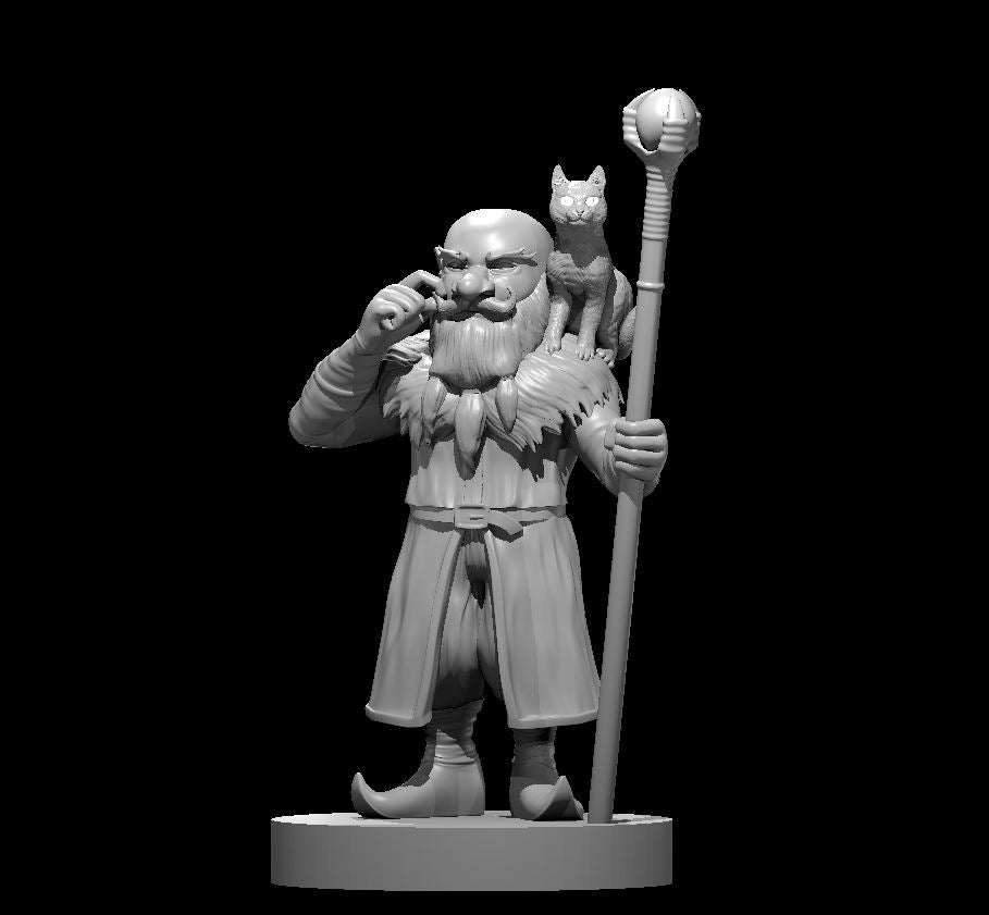 Dungeons & Dragons Gnome Male Warlock of the Fiend Miniature