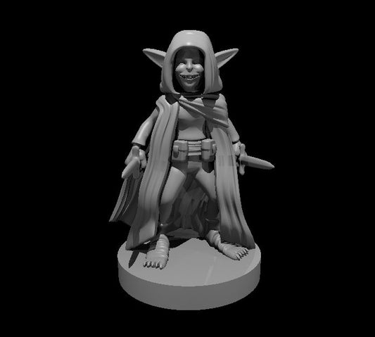 Dungeons & Dragons Goblin Female Rogue two Daggers Miniature