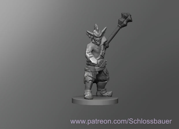 Dungeons & Dragons Goblin male Miniature