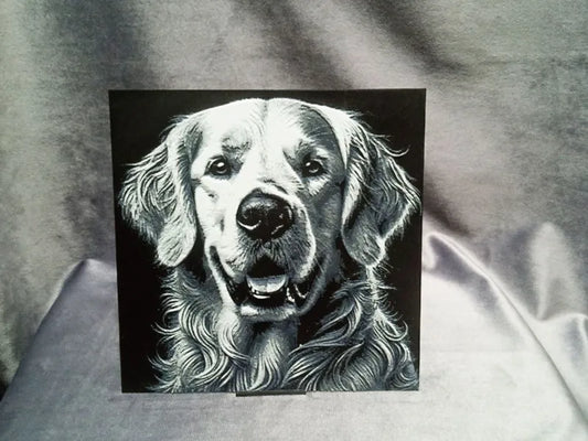 Golden Retriever Dog