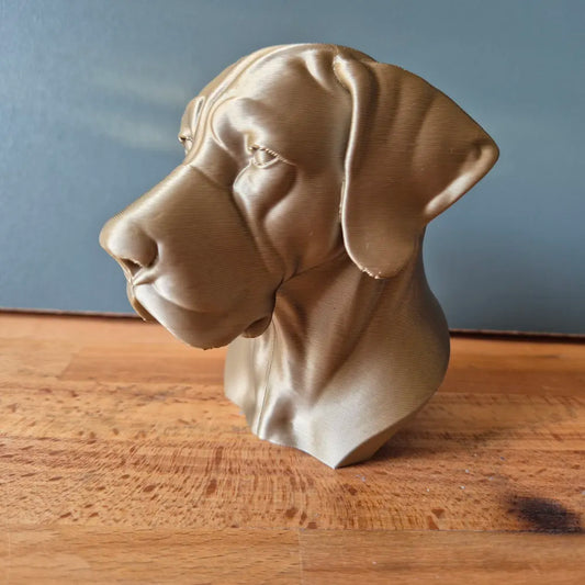 Great Dane Bust