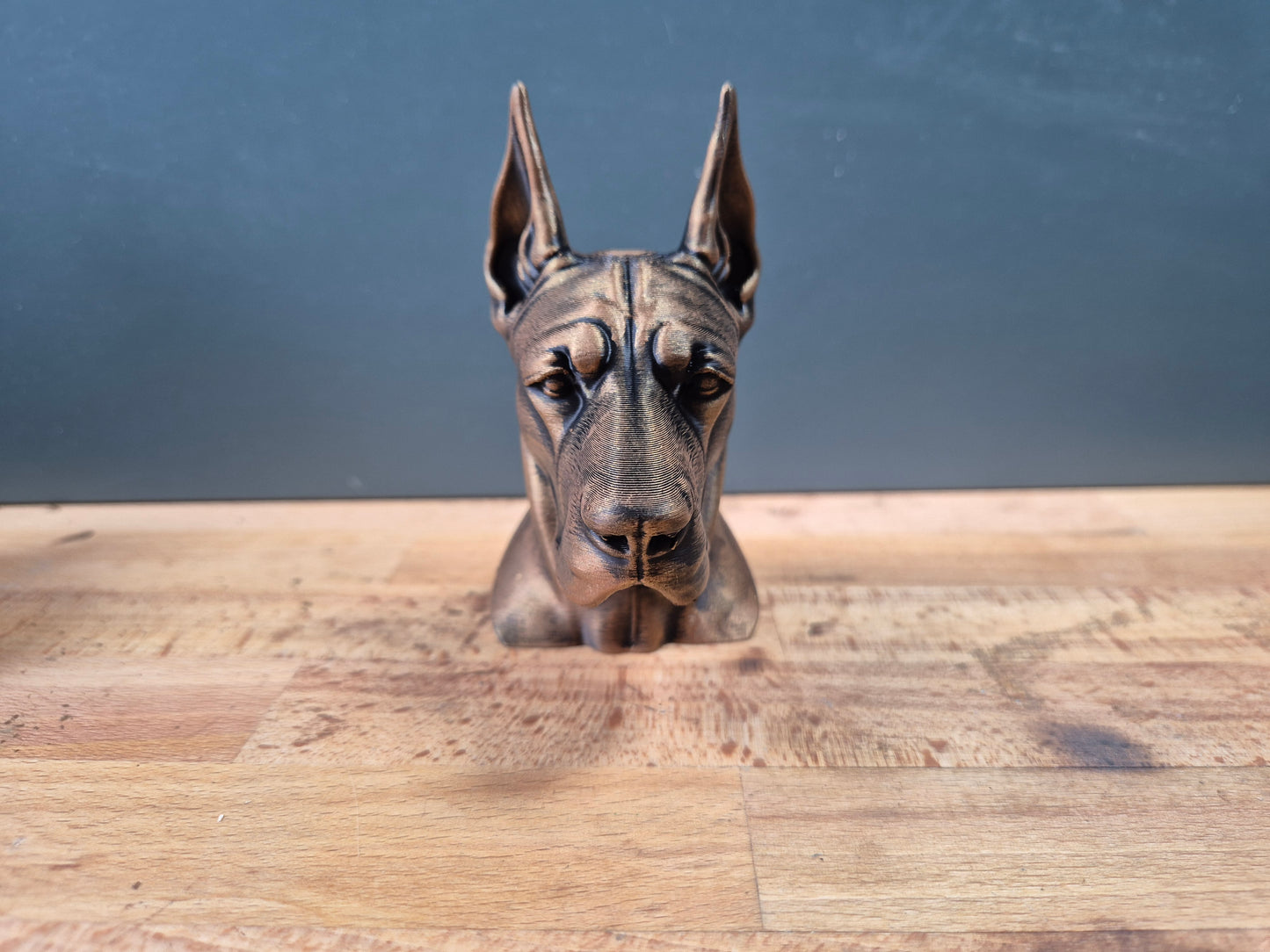 Great Dane Bust