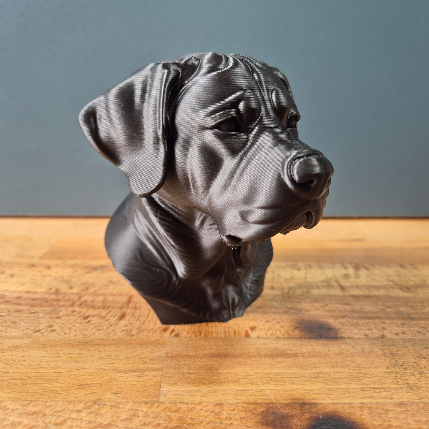 Greater Swiss Mountain Dog Bust