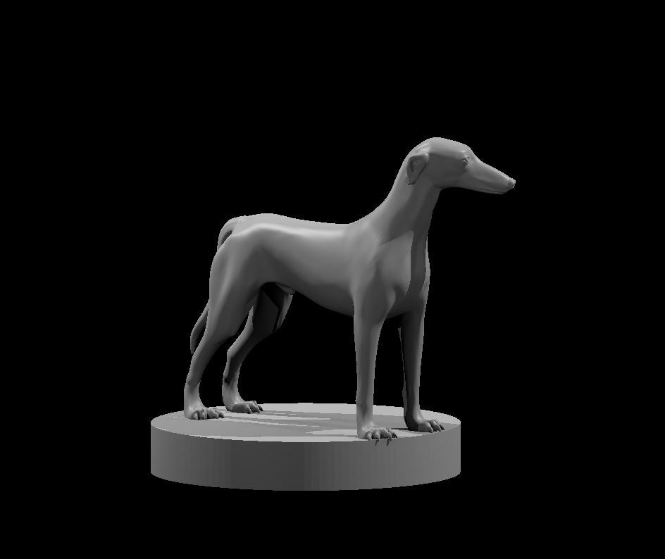 Dungeons & Dragons Greyhound Miniature