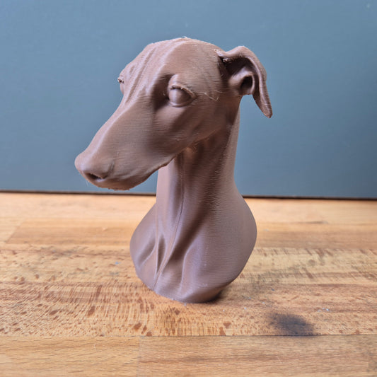 Greyhound Bust