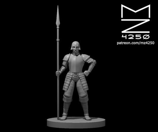 Dungeons & Dragons Guard Female with spear Miniature