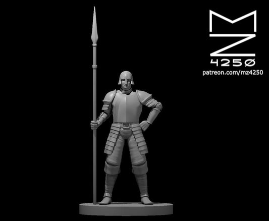Dungeons & Dragons Guard Male with spear Miniature