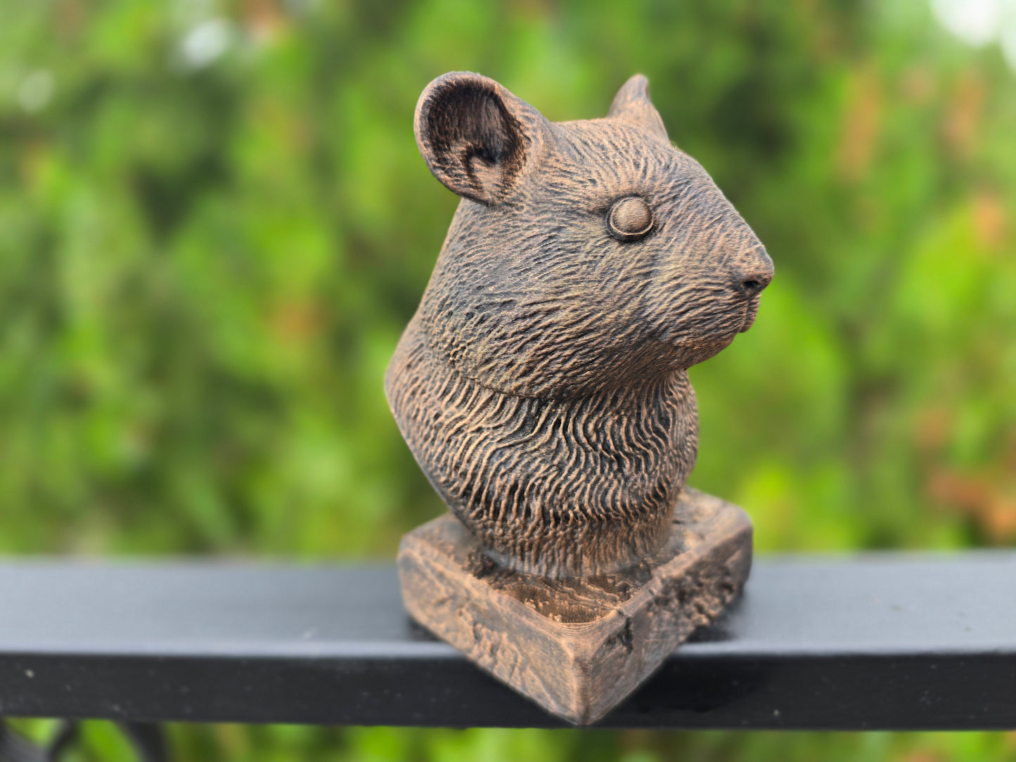 Hamster Bust