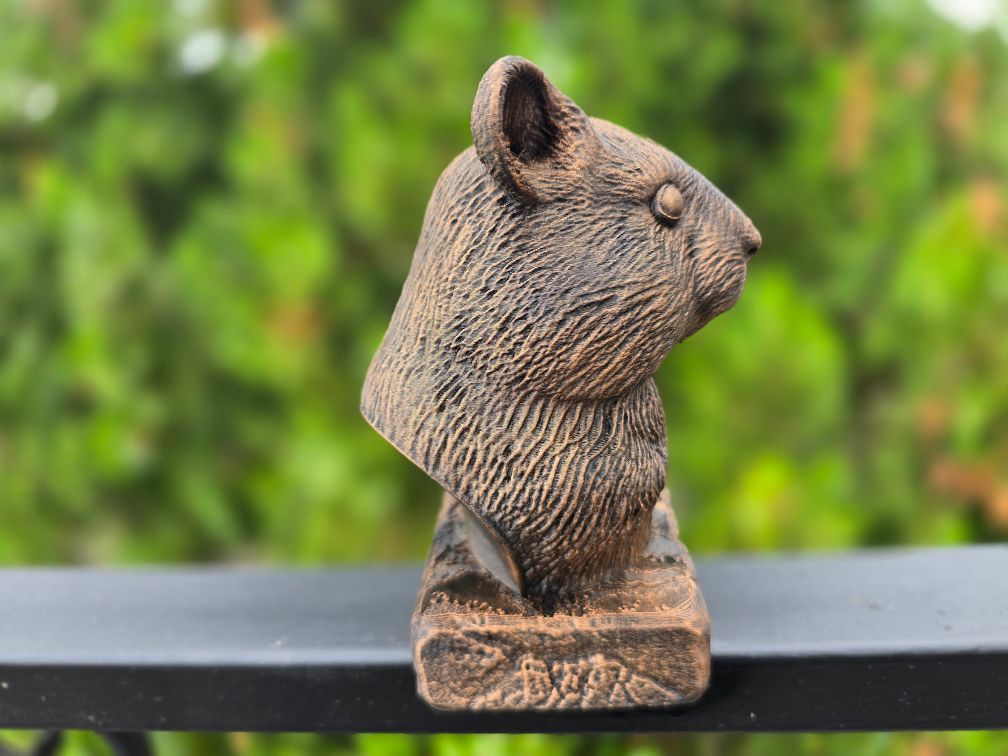 Hamster Bust
