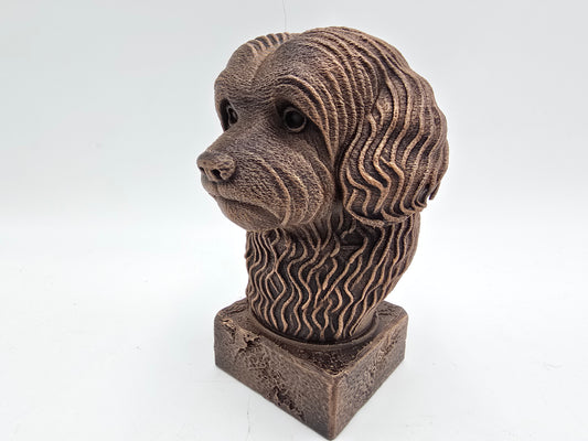 Havanese Bust