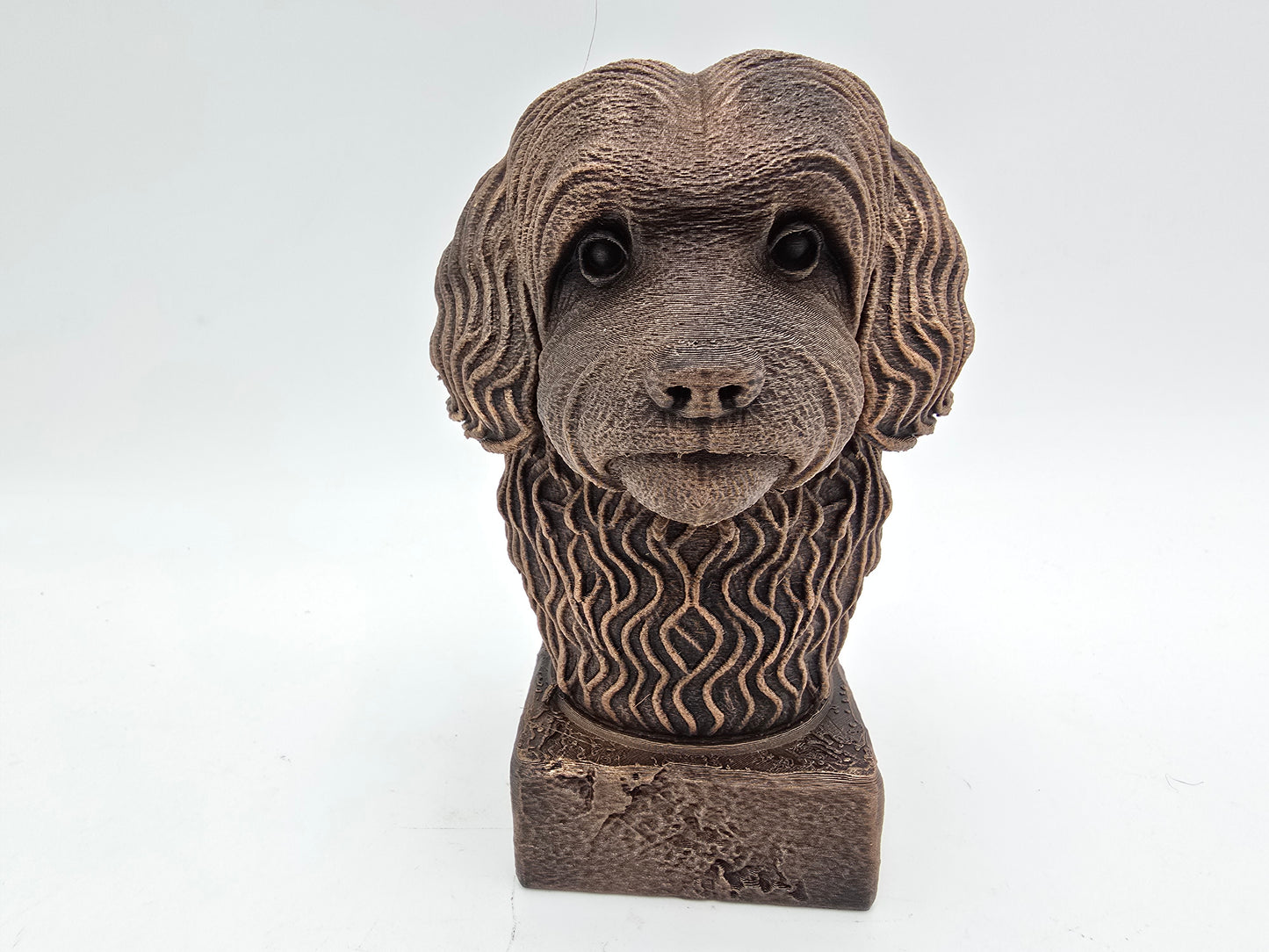 Havanese Bust