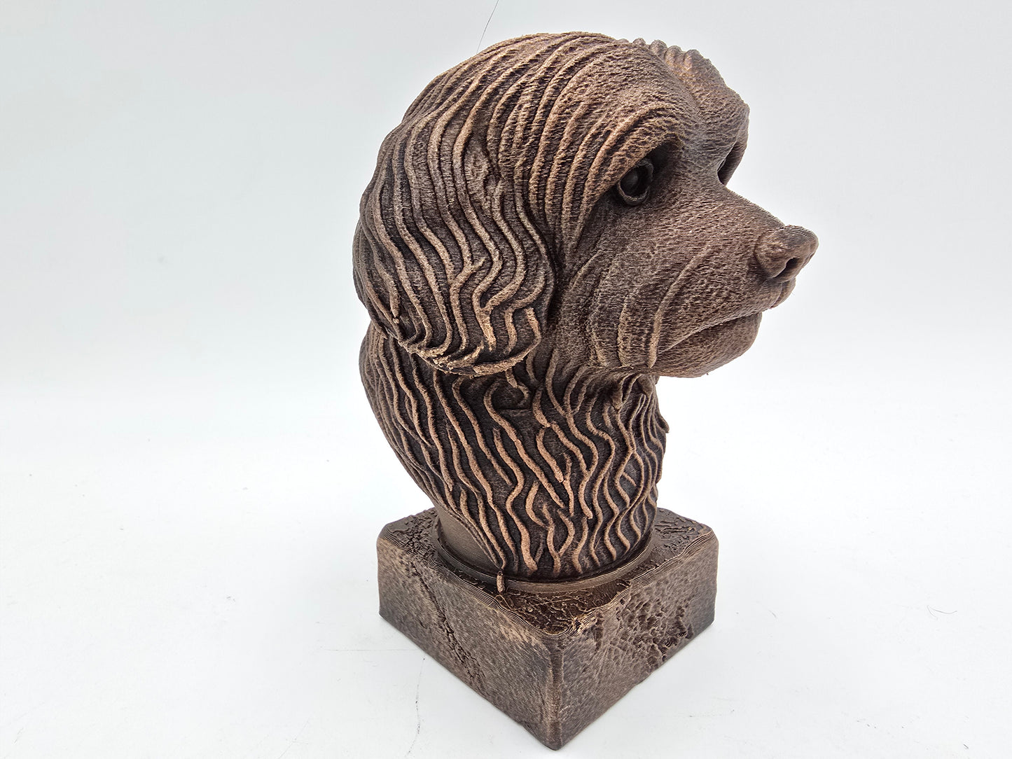 Havanese Bust