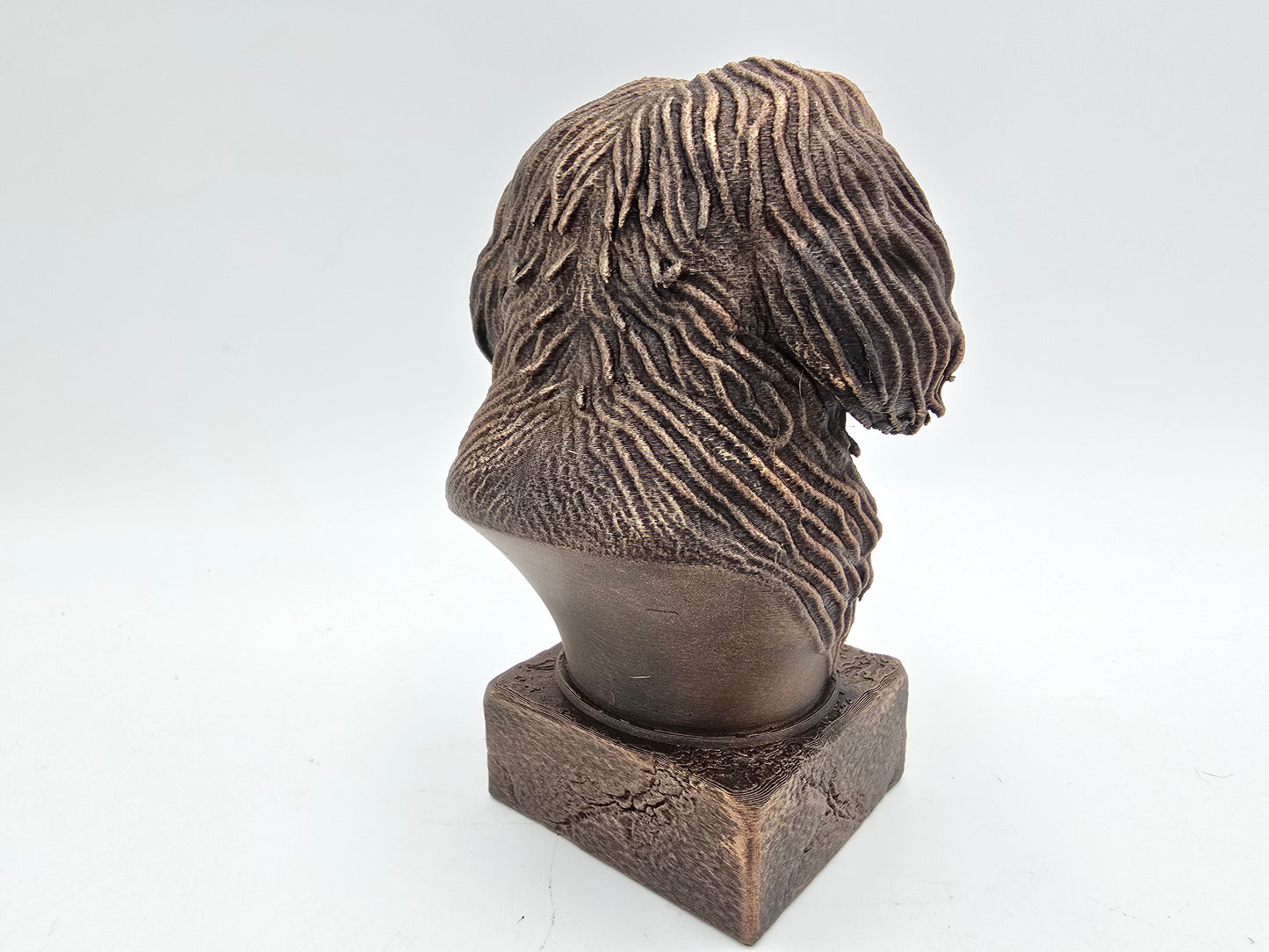 Havanese Bust