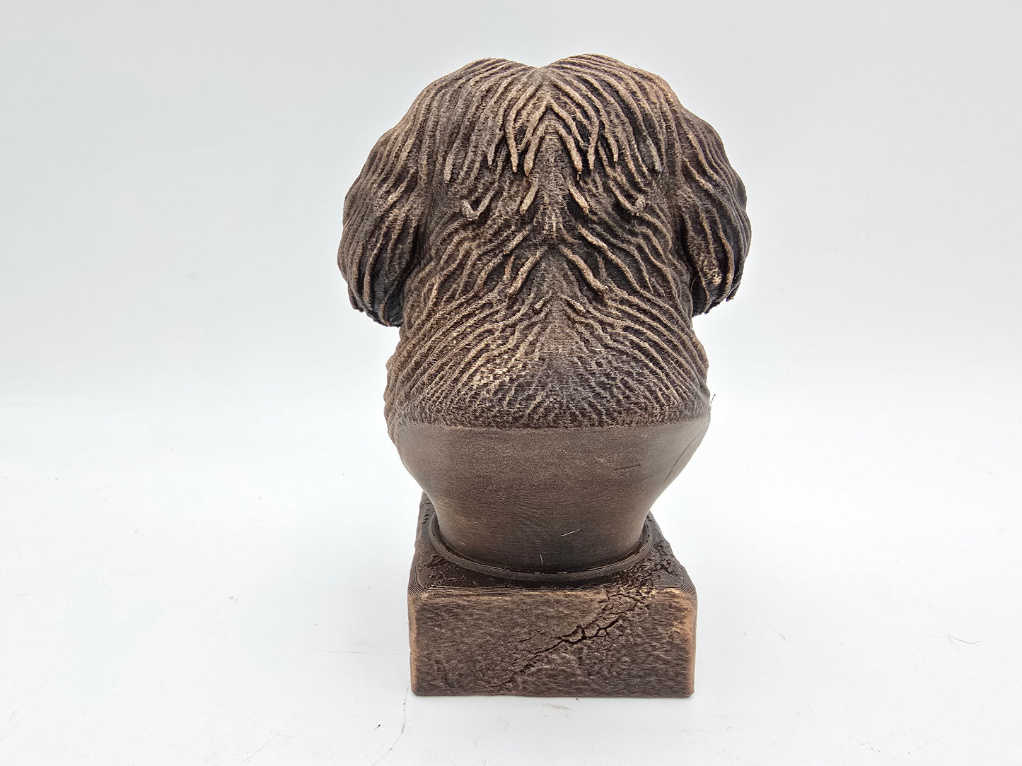 Havanese Bust