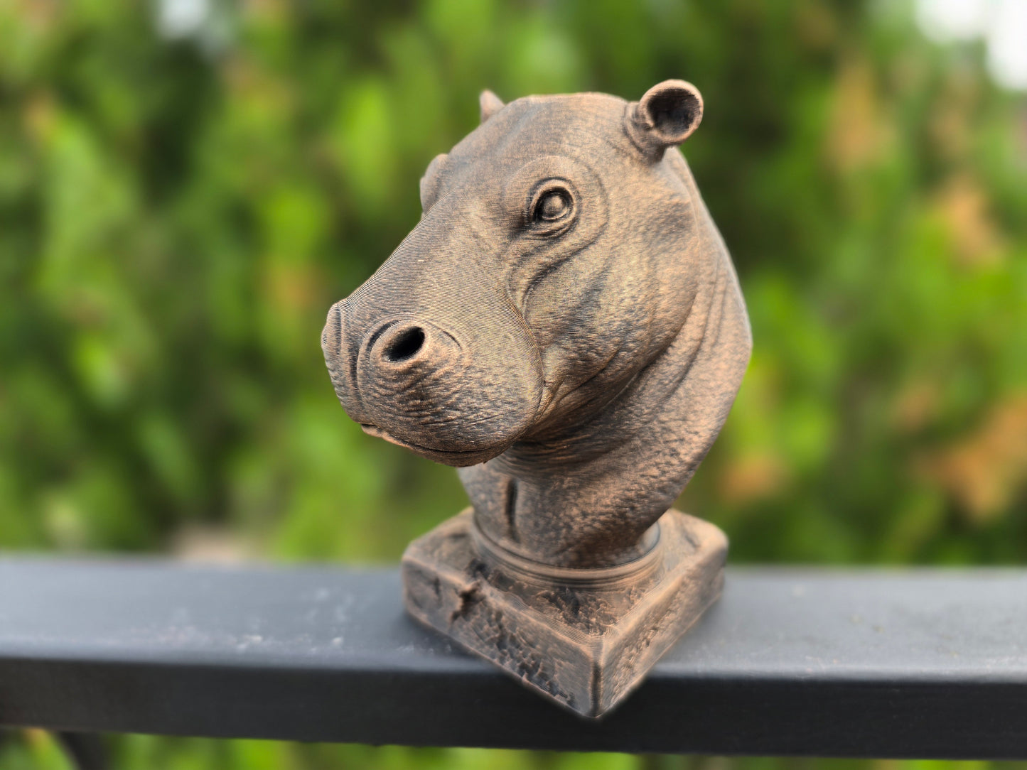 Hippopotamus Bust
