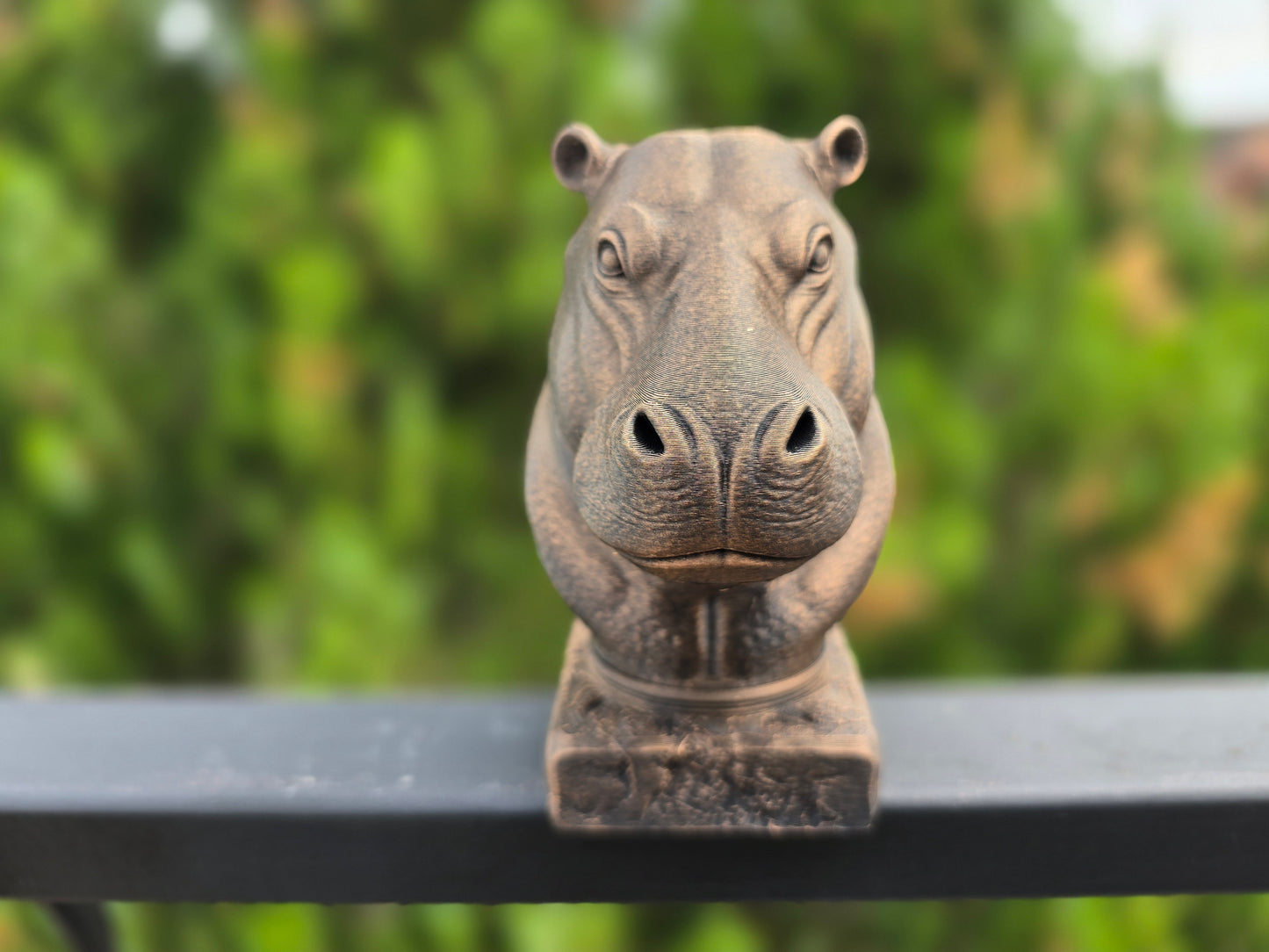 Hippopotamus Bust