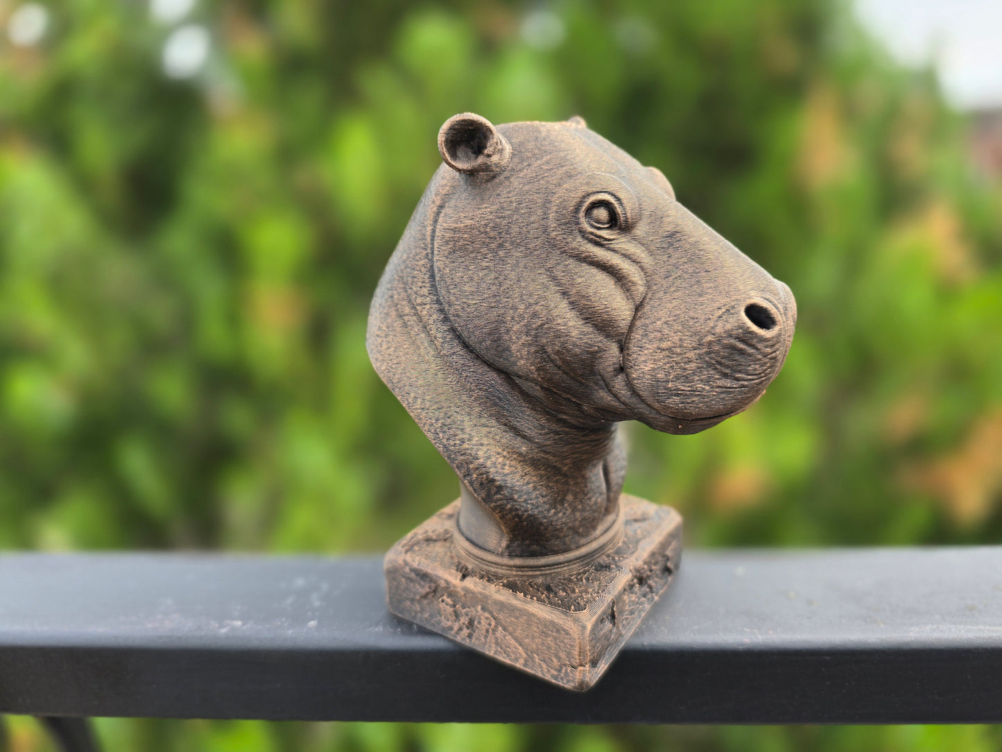 Hippopotamus Bust