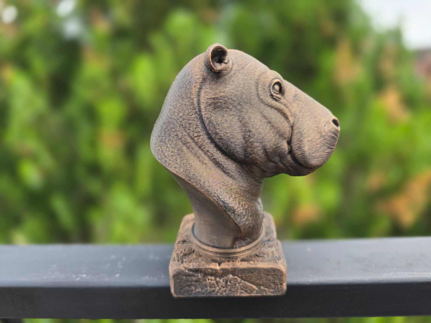 Hippopotamus Bust