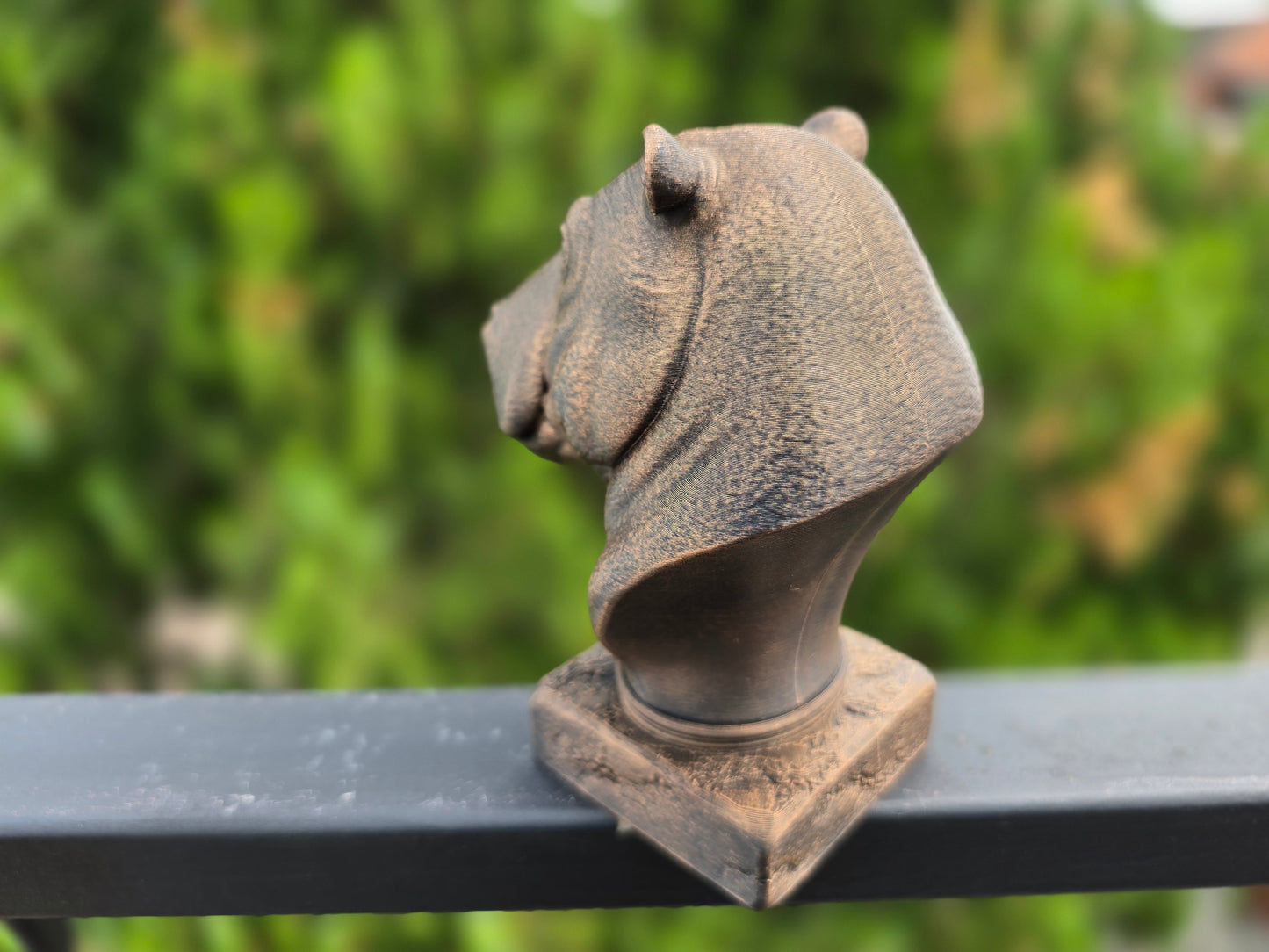 Hippopotamus Bust