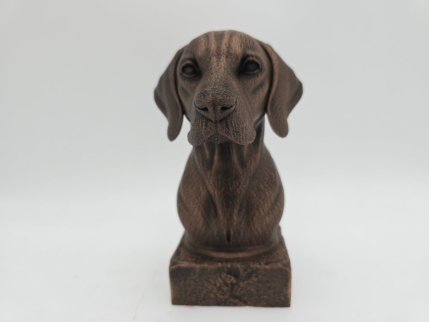 Hungarian Vizsla Bust