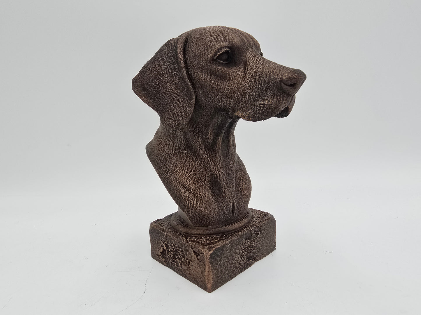 Hungarian Vizsla Bust