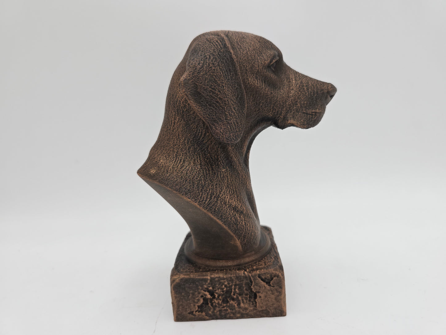 Hungarian Vizsla Bust