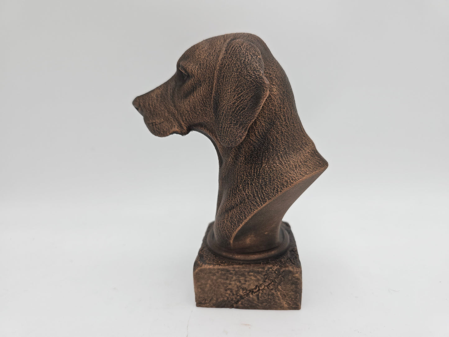Hungarian Vizsla Bust