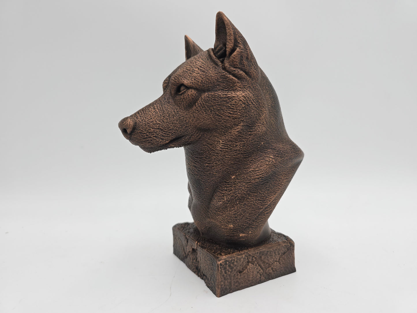 Husky Bust