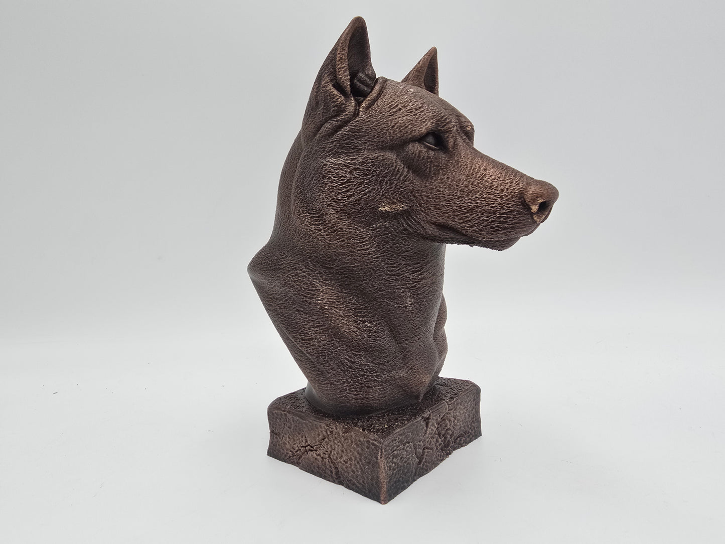 Husky Bust