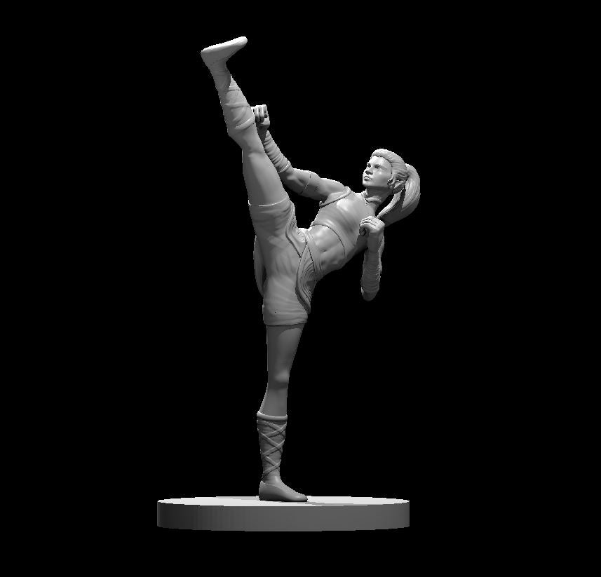 Dungeons & Dragons Half Elf Female Monk Miniature – Borishotch Industries