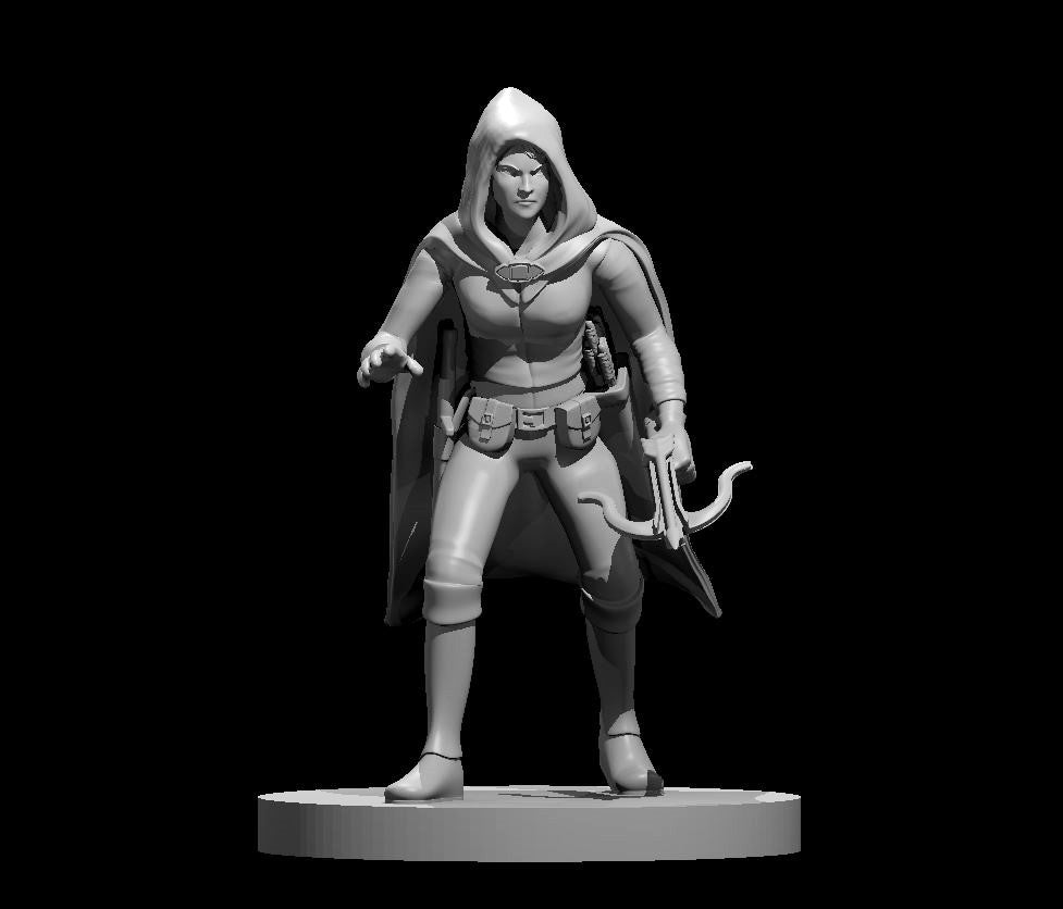 Dungeons & Dragons Half Elf Female Rogue Miniature