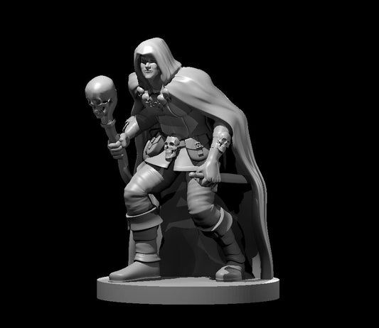 Dungeons & Dragons Half Elf Warlock Miniature