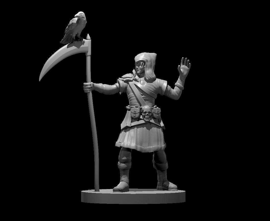 Dungeons & Dragons Half Elf Warlock Miniature