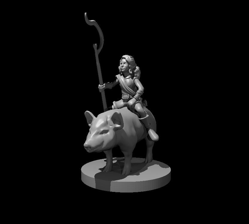 Dungeons & Dragons Halfling Female Druid Riding a Pig Miniature