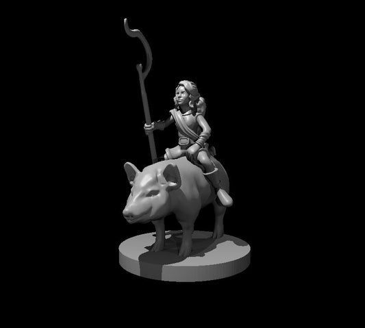 Dungeons & Dragons Halfling Female Druid Riding a Pig Miniature