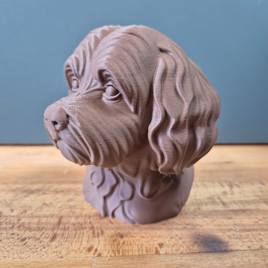 Havanese Bust