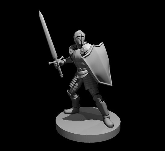 Dungeons & Dragons Helmed Male Paladin Miniature