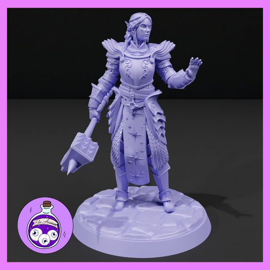 Dungeons & Dragons High Elf Paladin Miniature