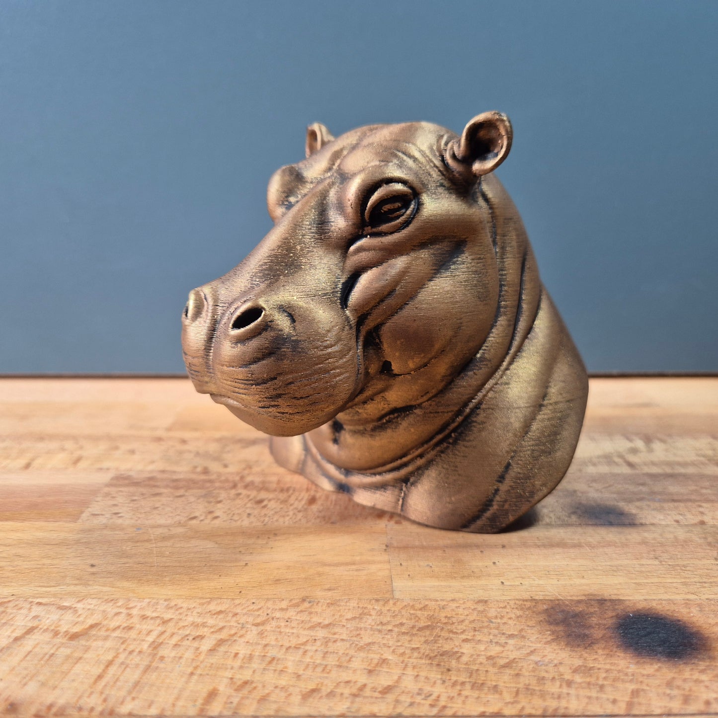 Hippopotamus Bust
