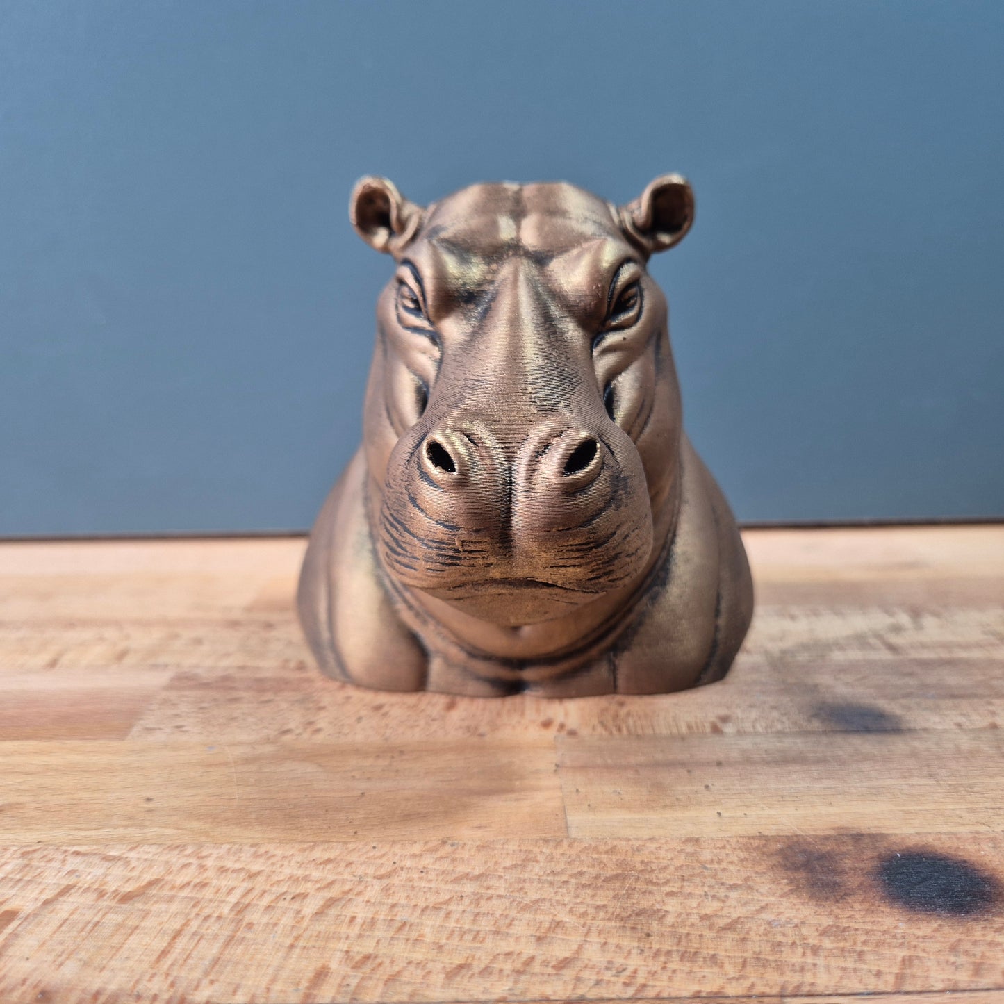 Hippopotamus Bust