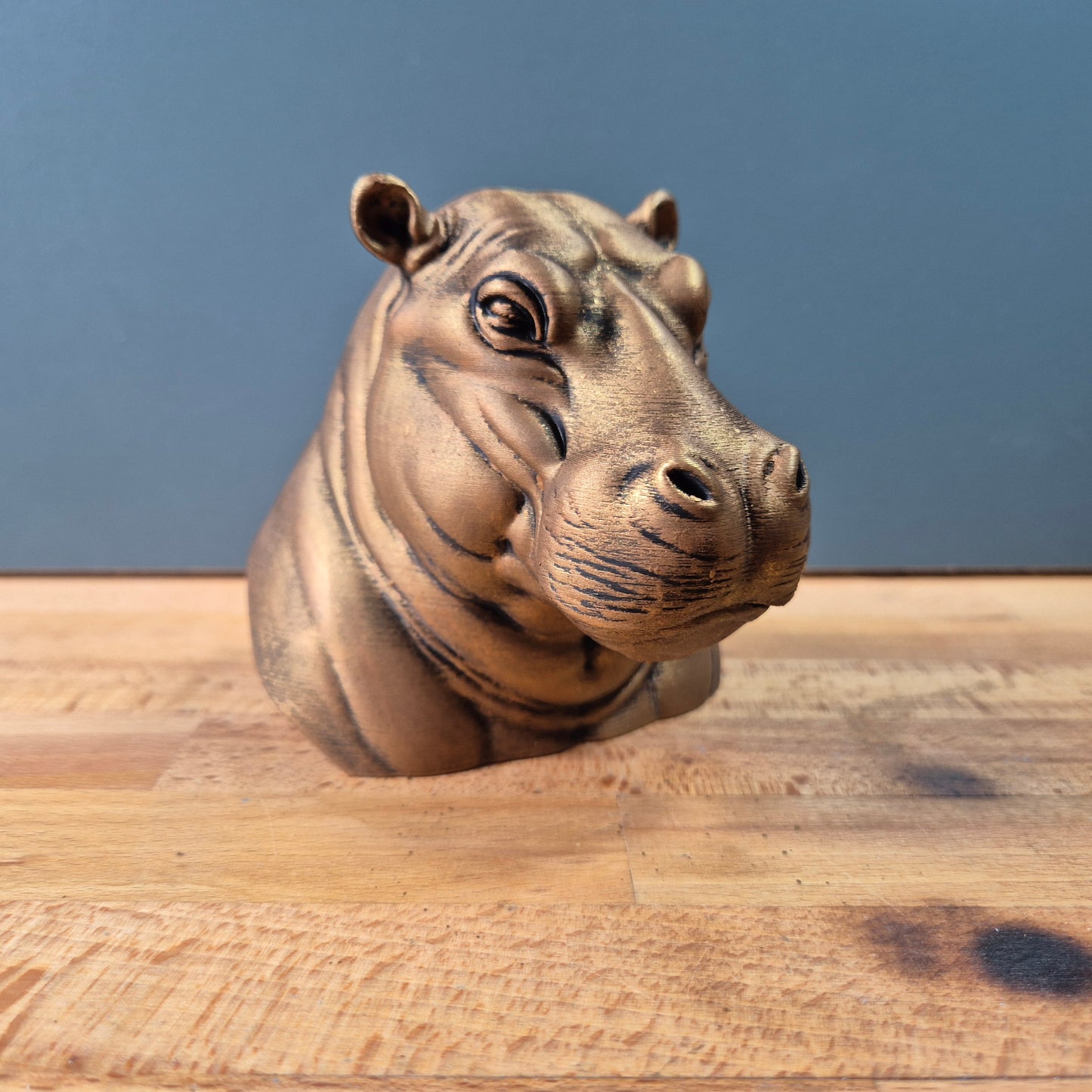 Hippopotamus Bust