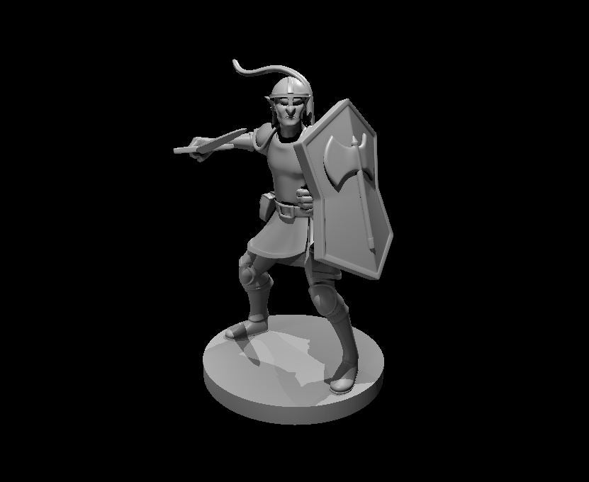 Dungeons & Dragons Hobgoblin Miniature