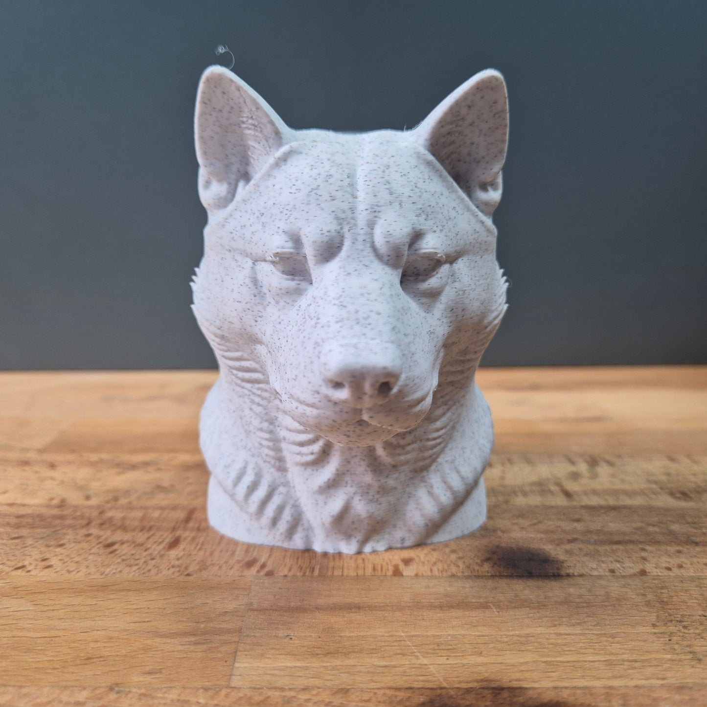 Hokkaido Dog Bust