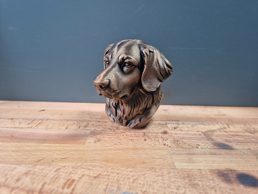 Hovawart Bust