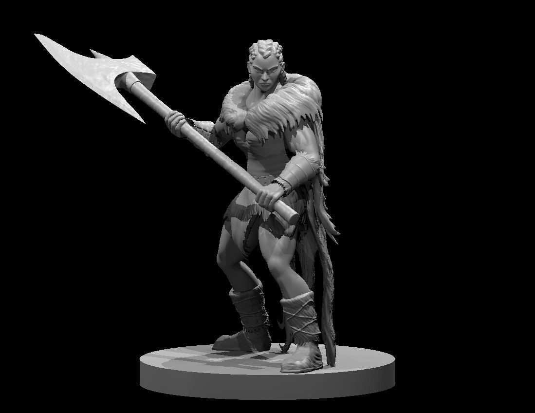 Dungeons & Dragons Human Female Barbarian Miniature